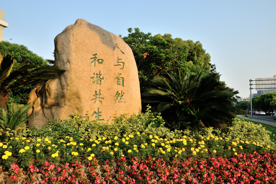 环建服务